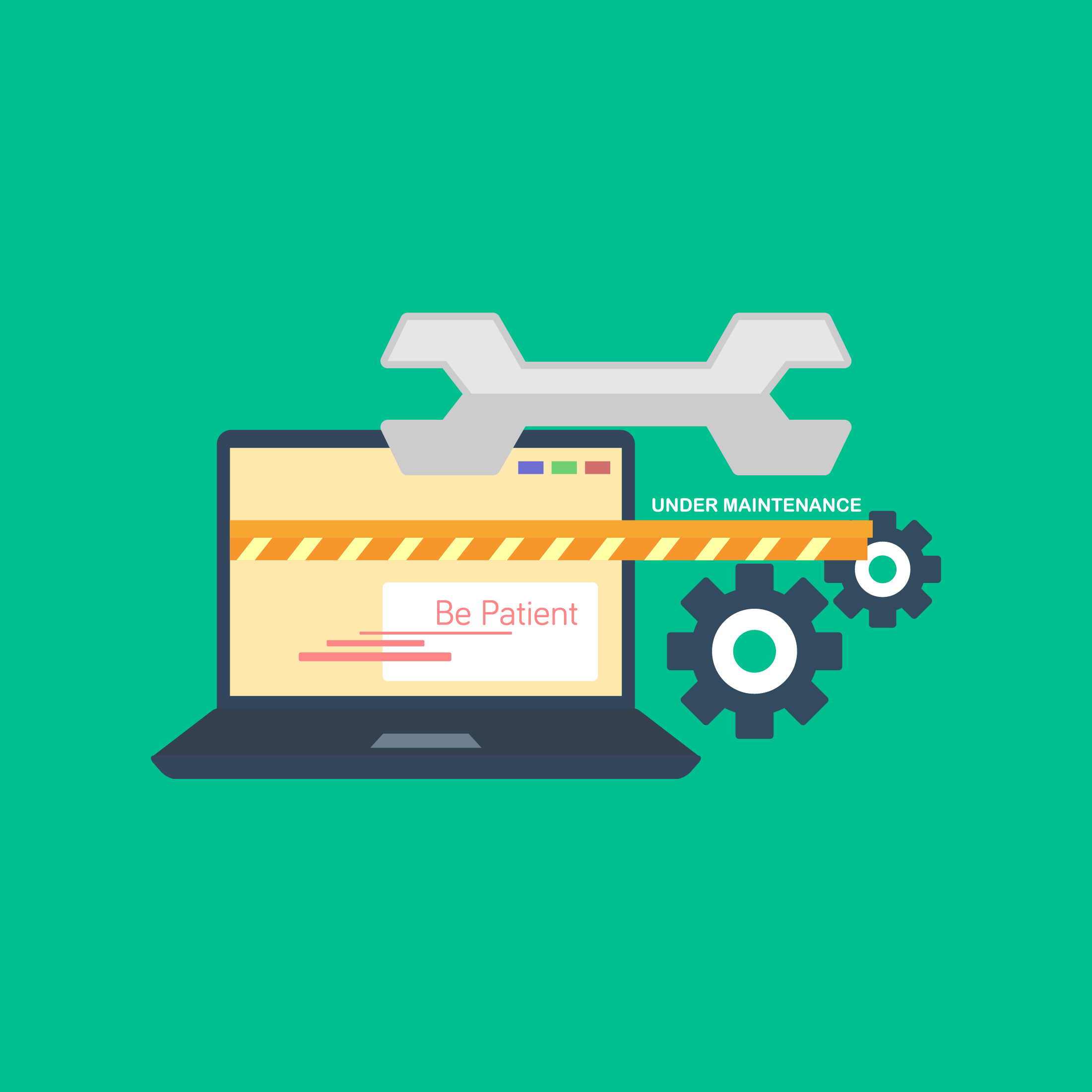 Manteniment i suport tècnic